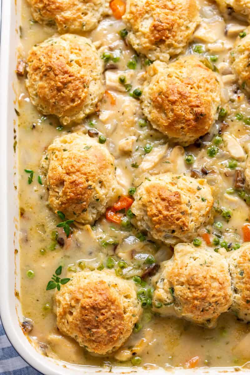 closeup of a chicken pot pie casserole dish with herb biscuits on top