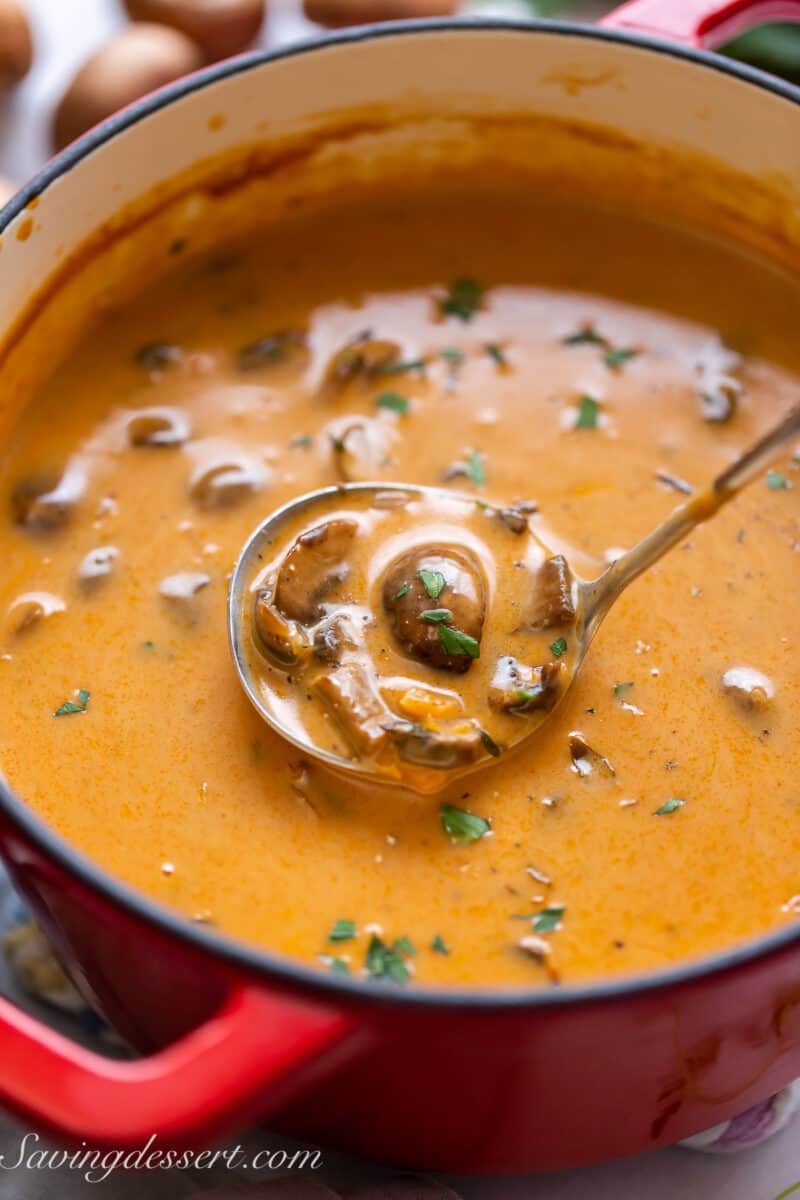 Closeup of a pot of Hungarian Mushroom Soup with a ladle in the center