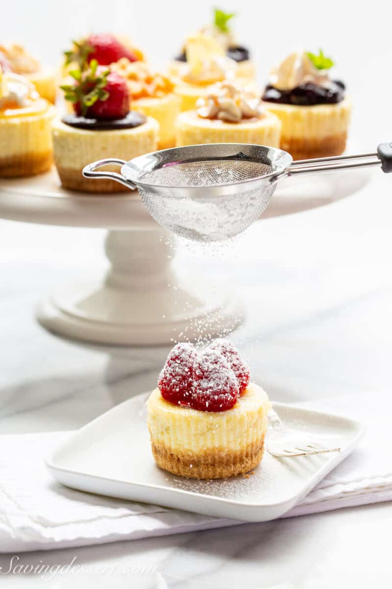 a single mini cheesecake on a plate with raspberries on top