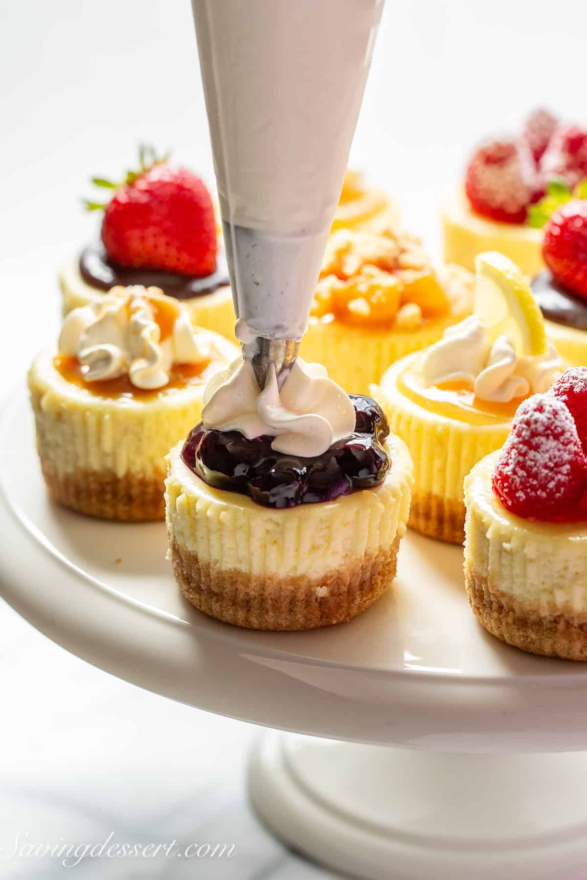 Mini Cheesecake Recipe - Saving Room for Dessert